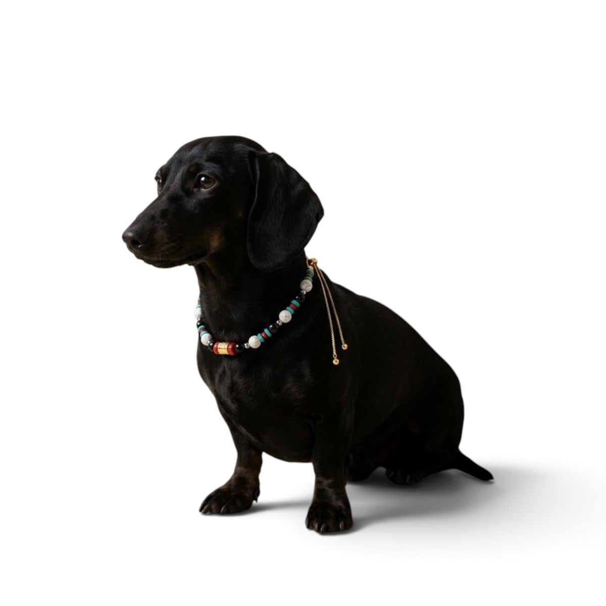 The Talisman Collar