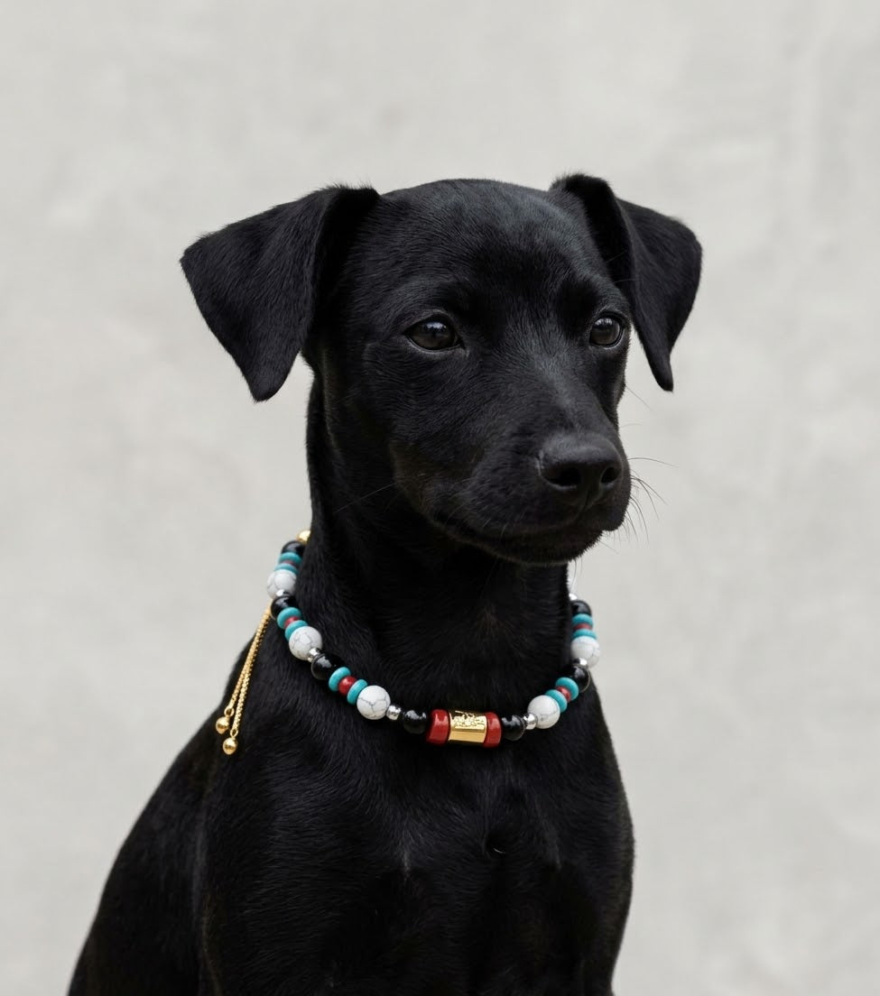 The Talisman Collar
