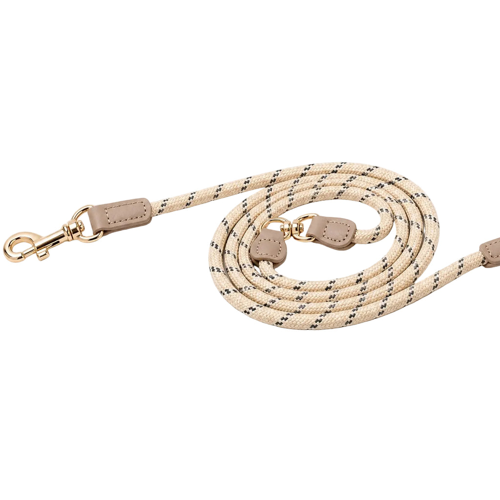 The Hands Free Leash