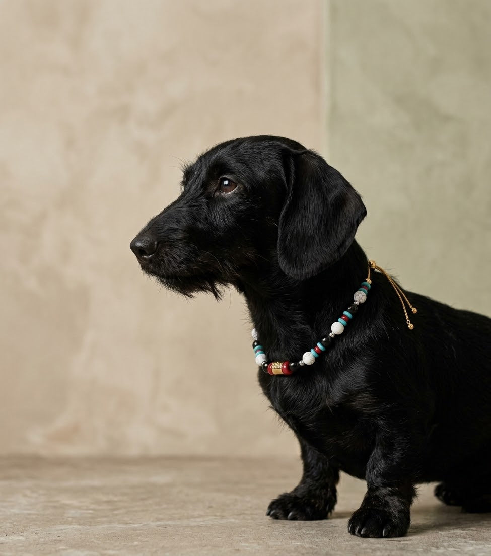 The Talisman Collar