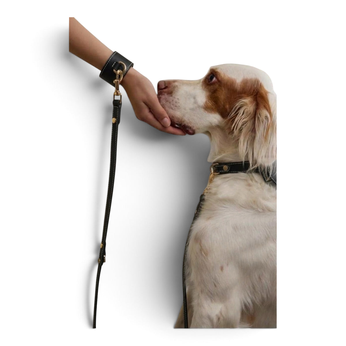 Hands-Free Wrist & Lead Set Black