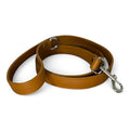 The Traditional Leash