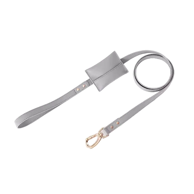 The Gray Leather Leash