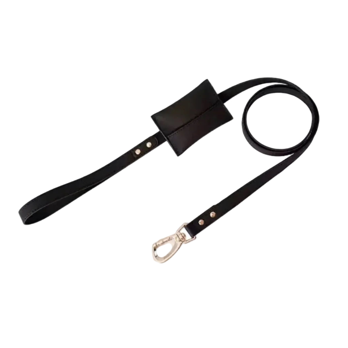 The Black Leather Leash