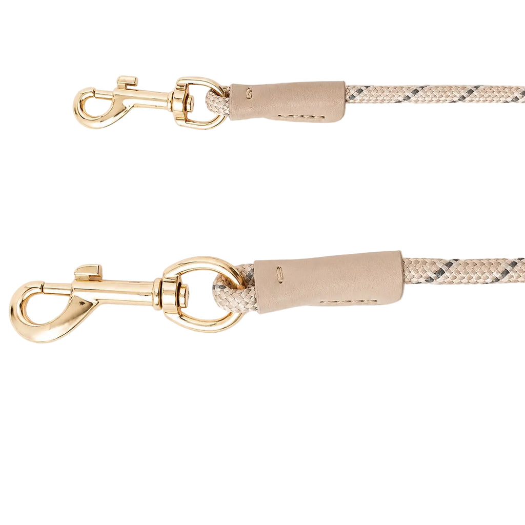 The Hands Free Leash