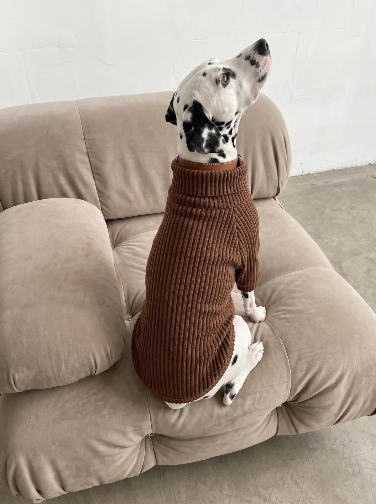 Amber Sweater