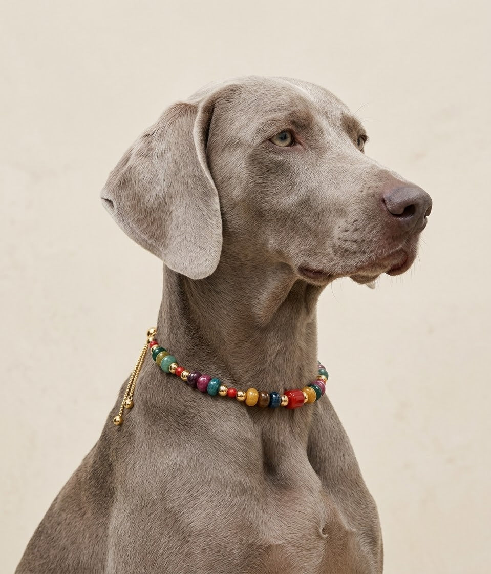 The Aura Collar