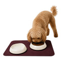 The Pet feeding mat