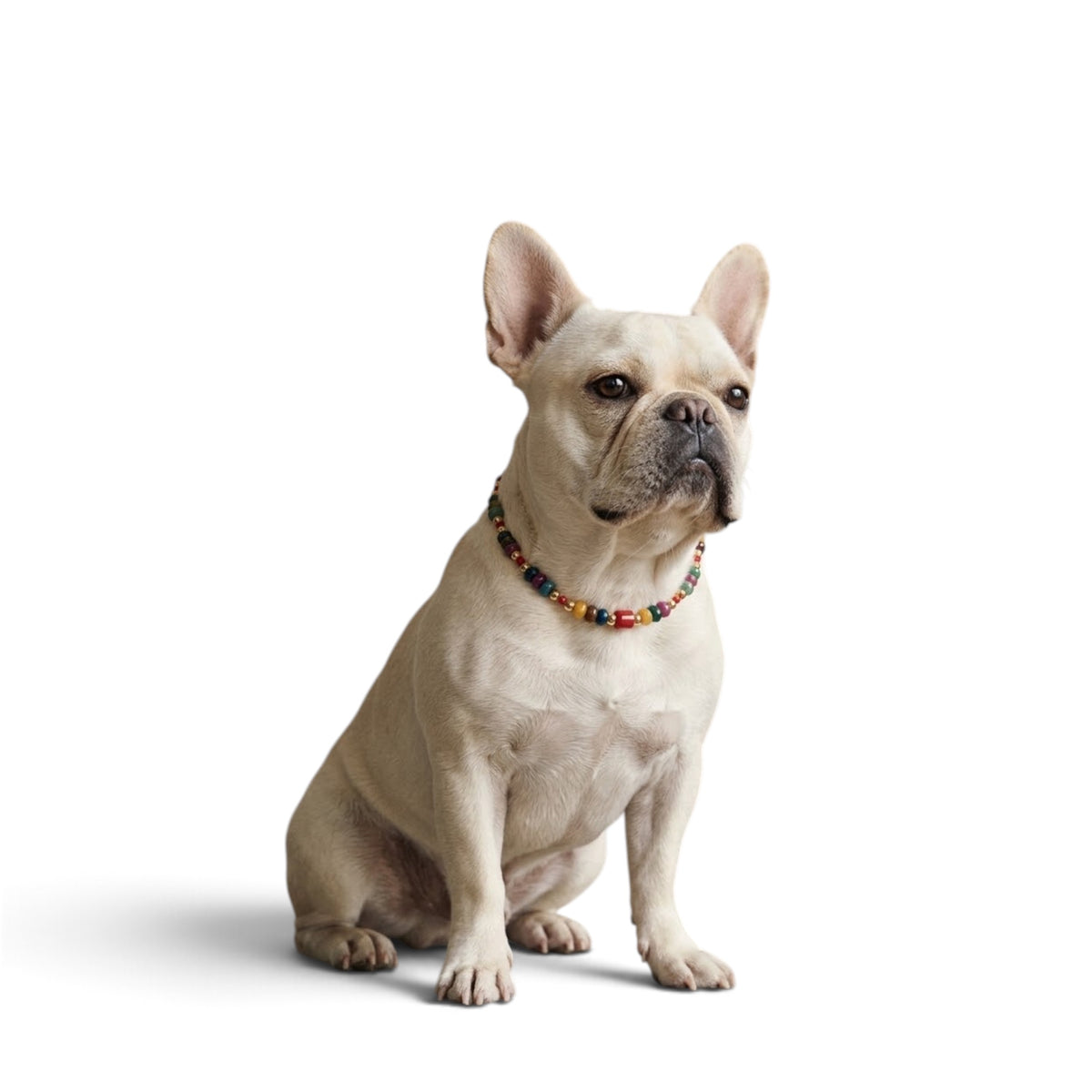 The Aura Collar