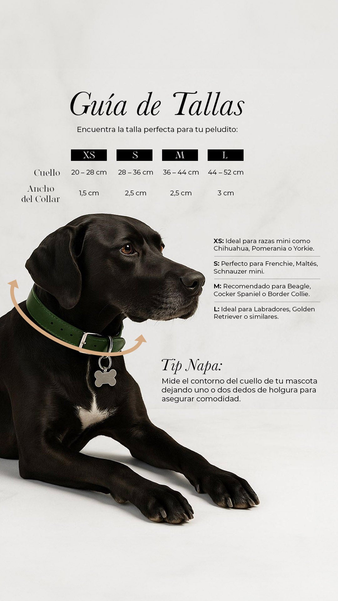 Basalto Collar