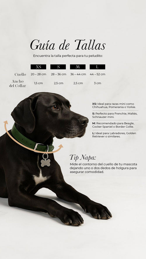 Basalto Collar