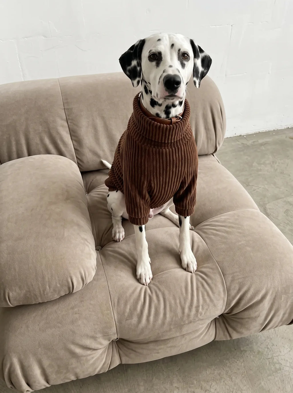 Amber Sweater