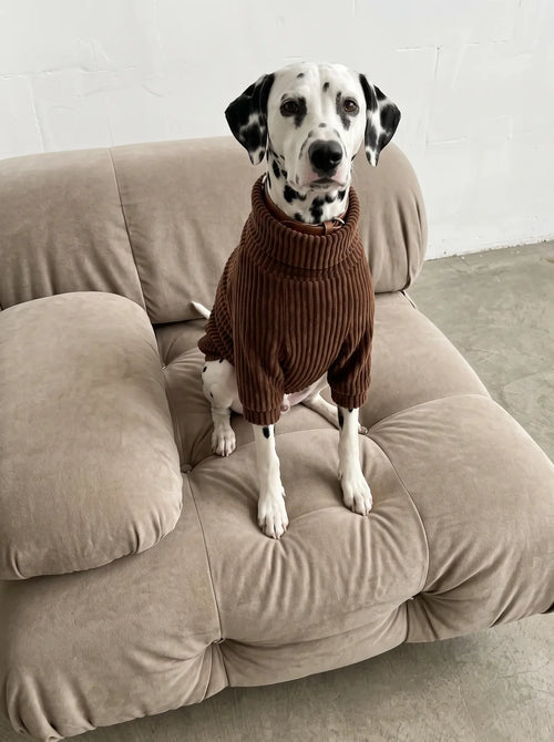 Amber Sweater