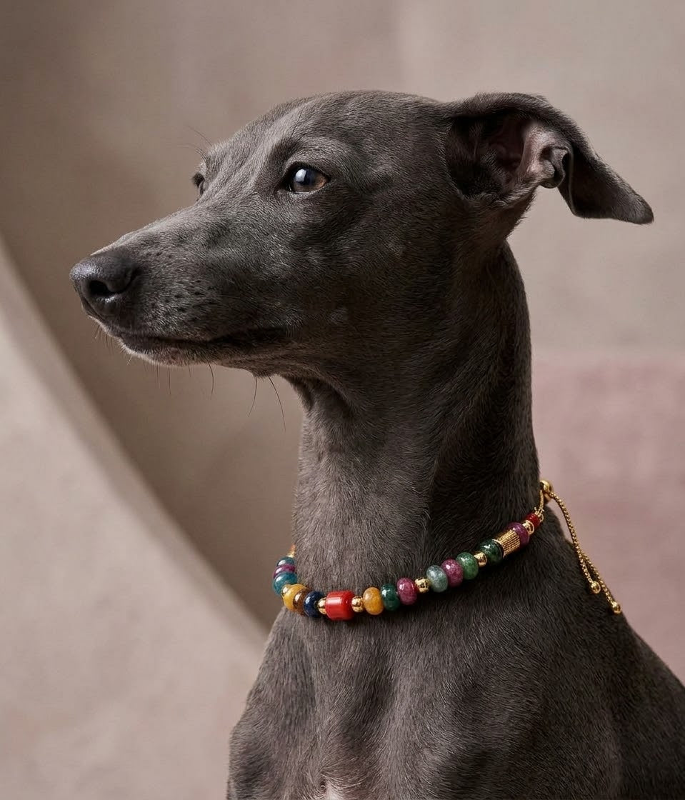 The Aura Collar