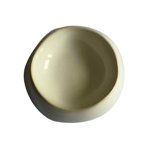 The Ceramic Bowl