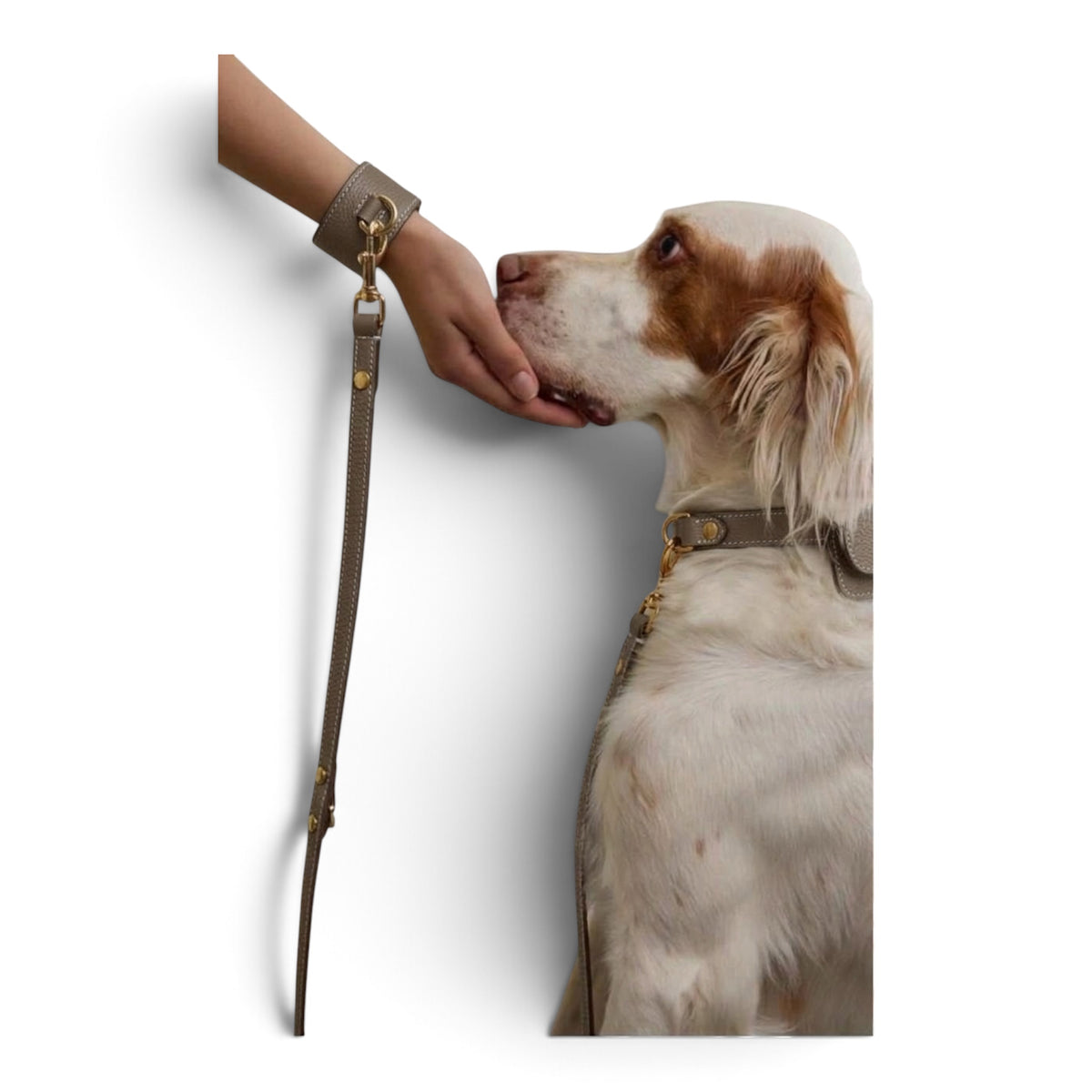 Hands-Free Wrist & Lead Set Taupe